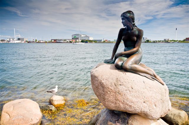 Copenhagen, August 23, Little Mermaid statue in Copenhagen celebrates its 99 birthday. Copenhagen, Denmark, August 23 2012